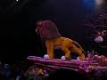 Festival of the Lion King (5)